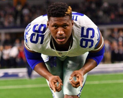 David Irving