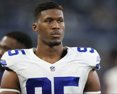 David Irving