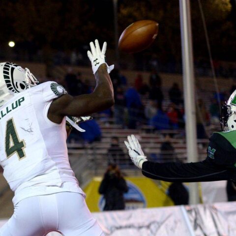 Michael Gallup