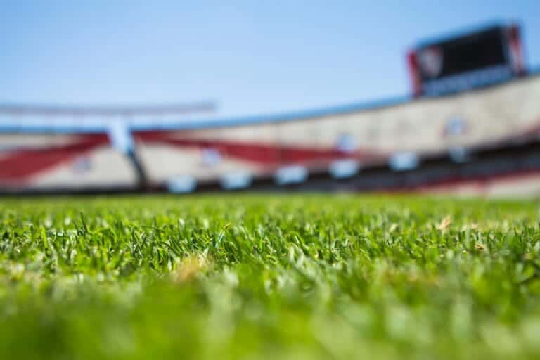 Enhancing Training Effectiveness with Precise Field Markings for Professional Football Practices - Enhancing Training Effectiveness with Precise Field Markings for Professional Football Practices